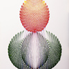Studie rostlinné říše I. č. 15, kresba tuší, r. 2014