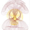 Studie rostlinné říše II., č. 13, kresba barevnou tužkou, r. 2014